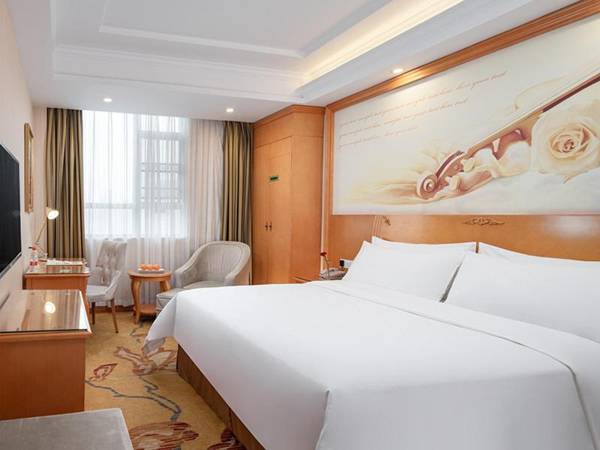 Vienna Hotel Hunan Xincheng Guoji