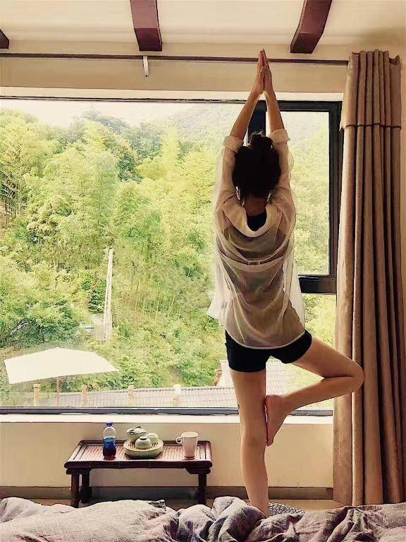 安吉 小森林 Little Forest Anji