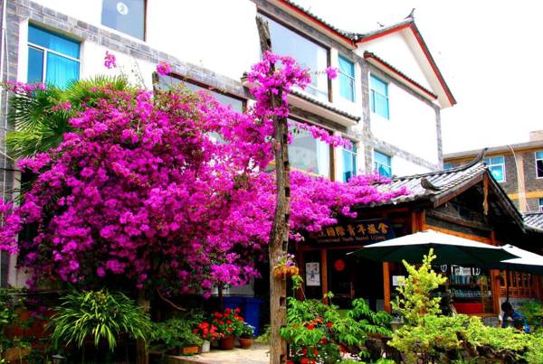 International Youth Hostel Lijiang