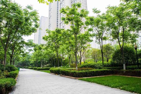 Henan Luoyang·Luo River· Locals Apartment 00153300