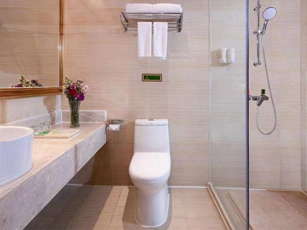 Vienna Hotel Guangdong Dongguan Dalang