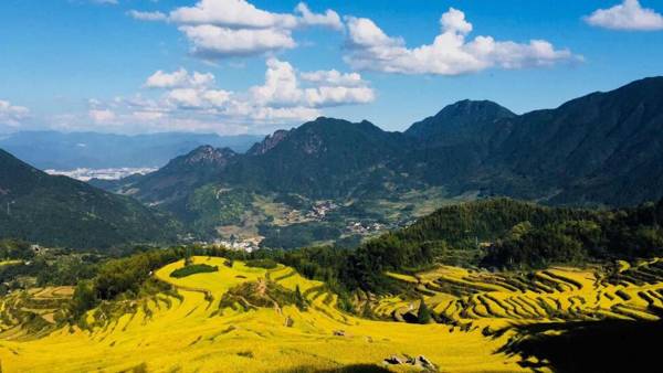 Cloud Alley Mountain Guest House