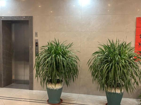 Pai Hotel Pingdingshan Lushan Railway Station