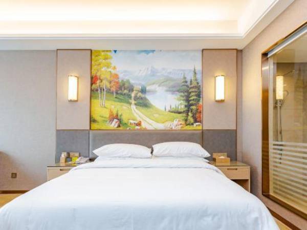 Vienna International Hotel (Duyun Qishan Avenue)