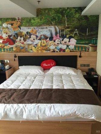 Thank Inn Plus Hotel Shanghai Pudong New District Disneyland