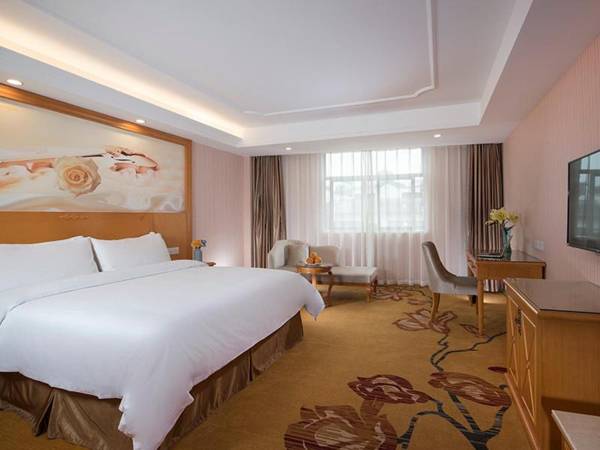 Vienna Hotel (Tianyang Old City High Speed Railway Station)