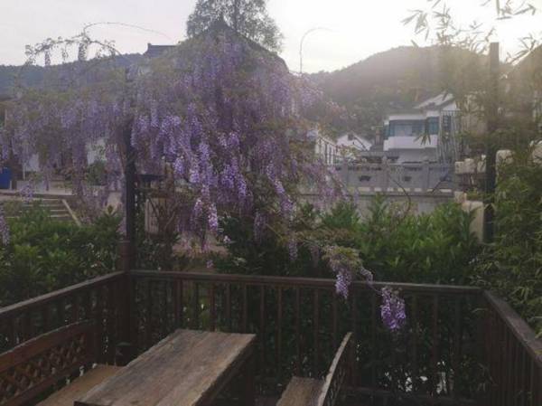 Wangshanhuayuannongzhuang