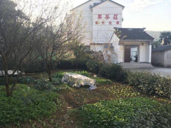 Guochazhuang Farm Stay