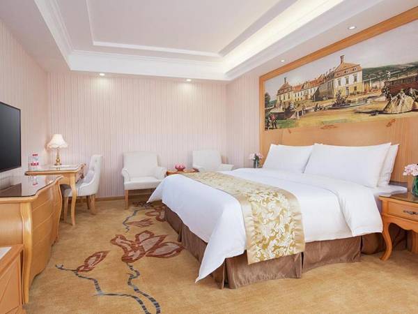 Vienna Hotel Heyuan Lianping Branch