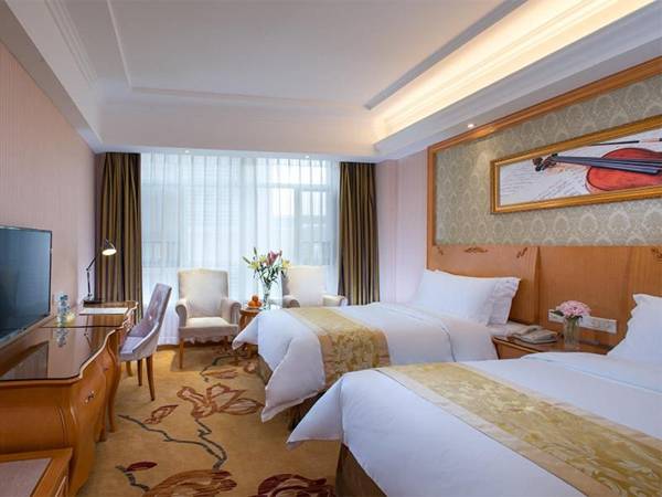 Vienna Hotel Heyuan Lianping Branch