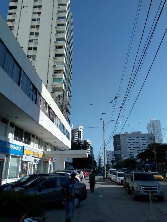 Apt Edificio los Delfines Playa