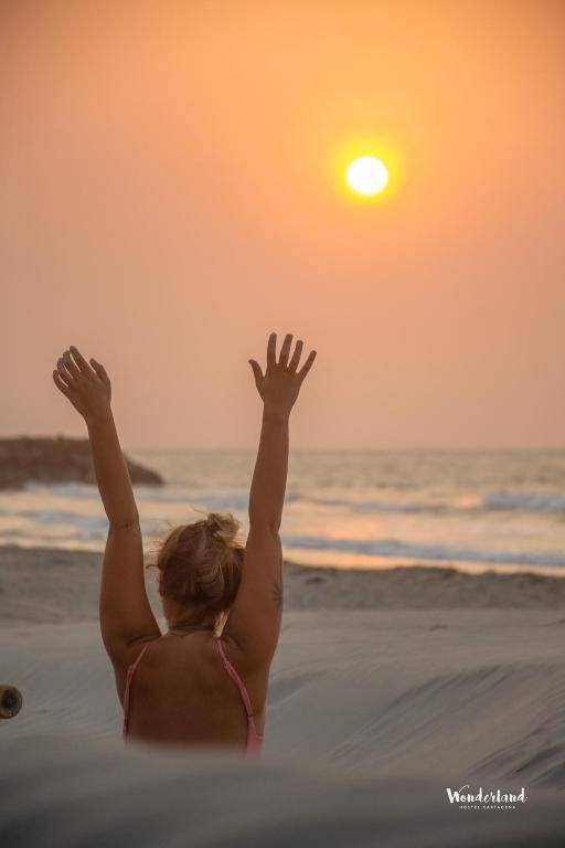 Wonderland by GB Collection