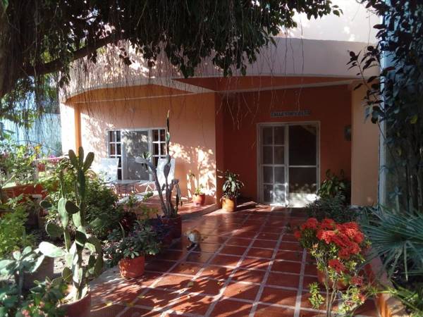 JUNTO AL MAR Y EL MANGLAR