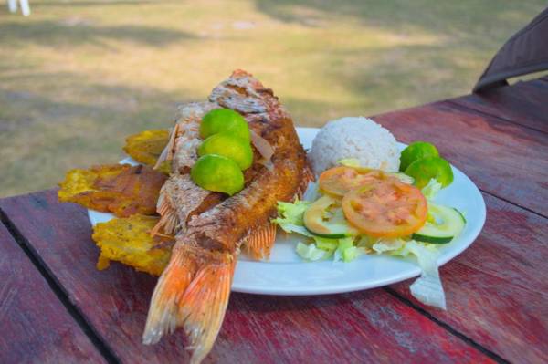 Palmarito Beach Hotel