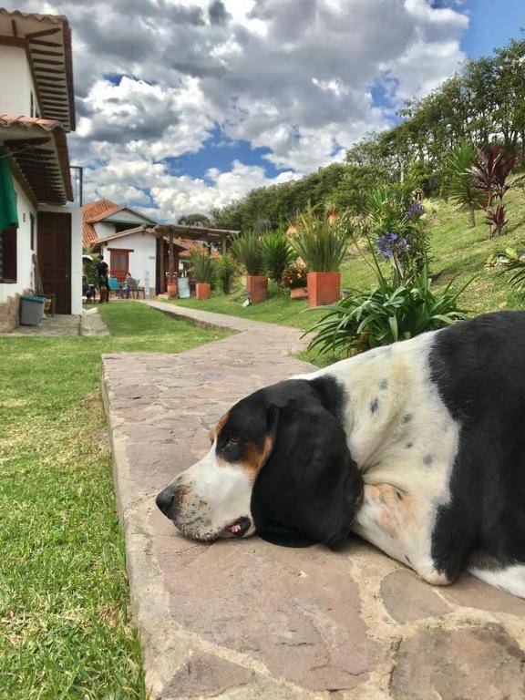 Casa Hotel San Pedro