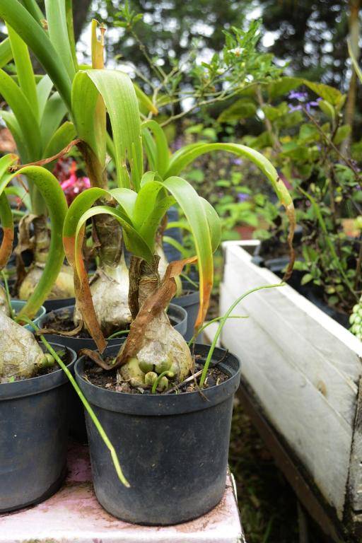 El Hayuelo Eco-lodge Villa de Leyva