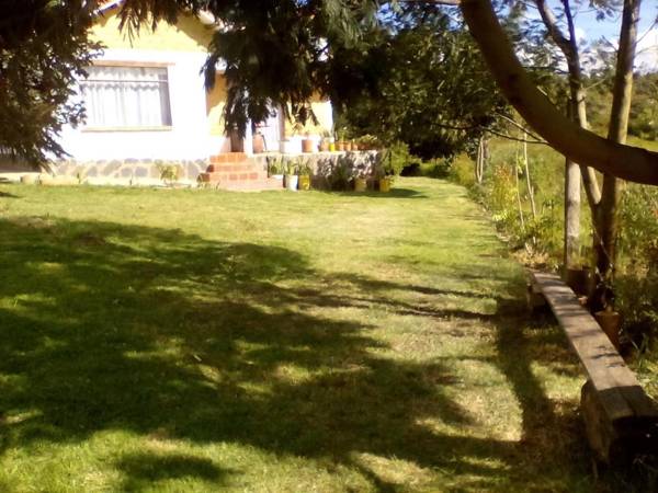 Hospedaje y Zona de Camping Pistacho