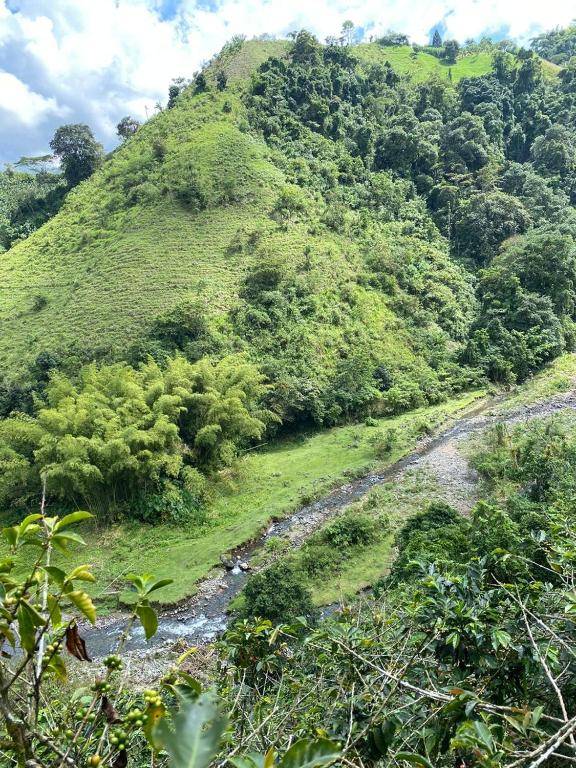 Arkdia Glamping Zone