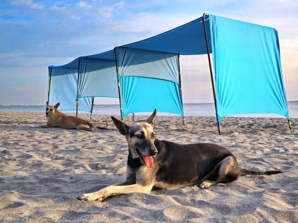 Playa del Ritmo Beach Hostel & Bar