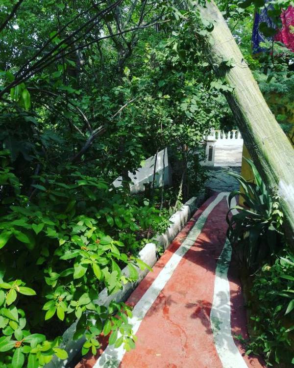 Jardin Etnobotanico Villa Ludovica