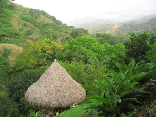 BOSQUES DEL TAYRONA ECOHABS