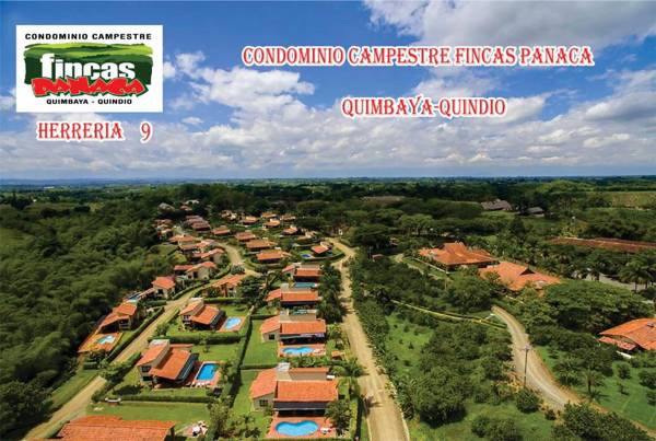 HERRERIA 9 FINCAS PANACA