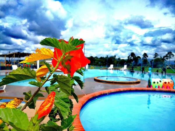 GUADUALES DEL CAFÉ B-409