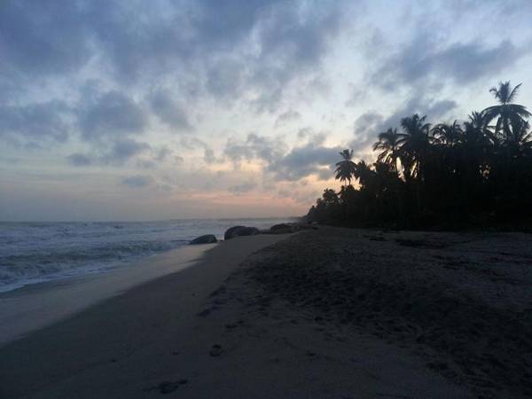 Cabañas San Sebastian Palomino Beach Hostel