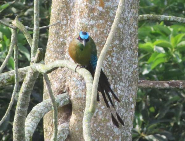 Finca Hotel el Palmar