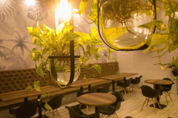 Hotel Sexta Avenida Inn