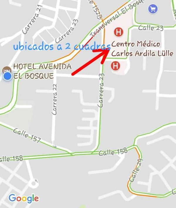 Hostal Avenida El Bosque