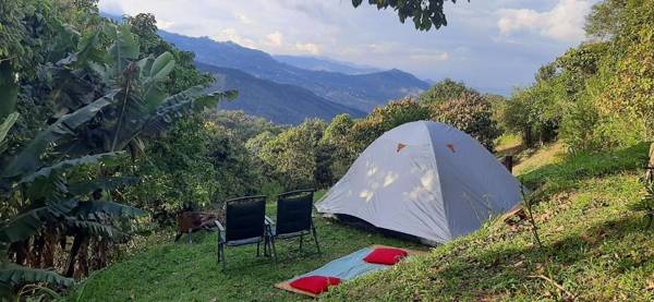 Camping Entre Arboles