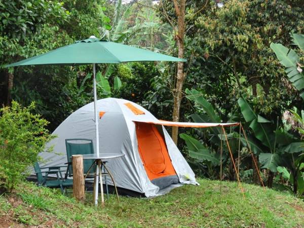 Camping Entre Arboles