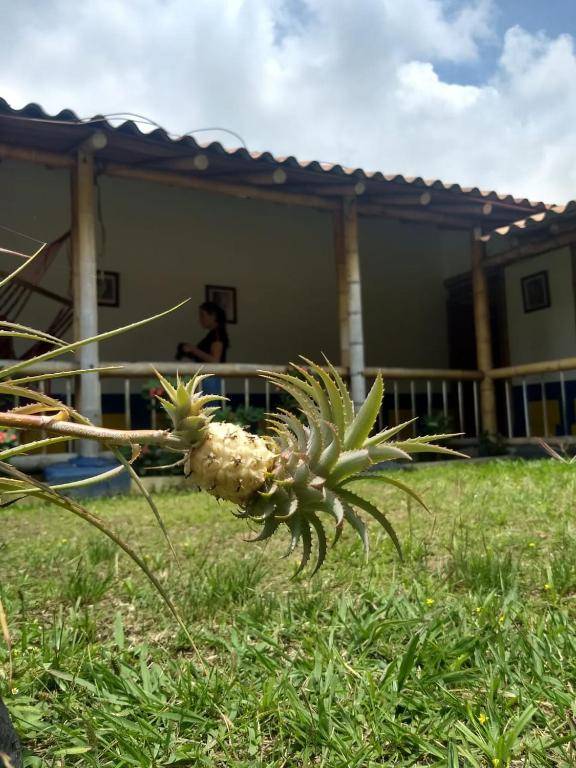 Finca Hotel La Esmeralda Casa 2