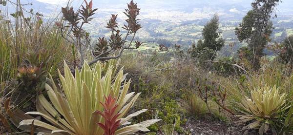 Reserva Campestre LA CABAÑA GLAMPING