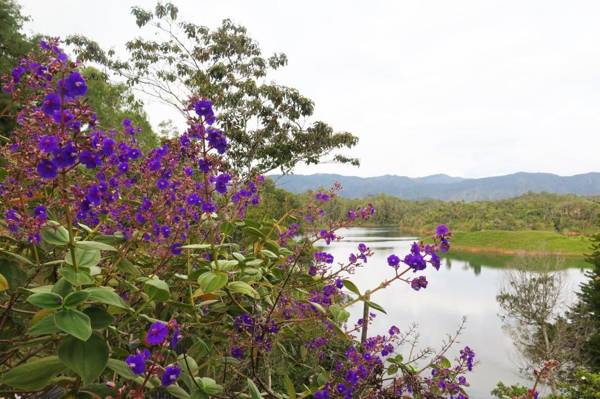 Ecolodge Bahia del Peñón