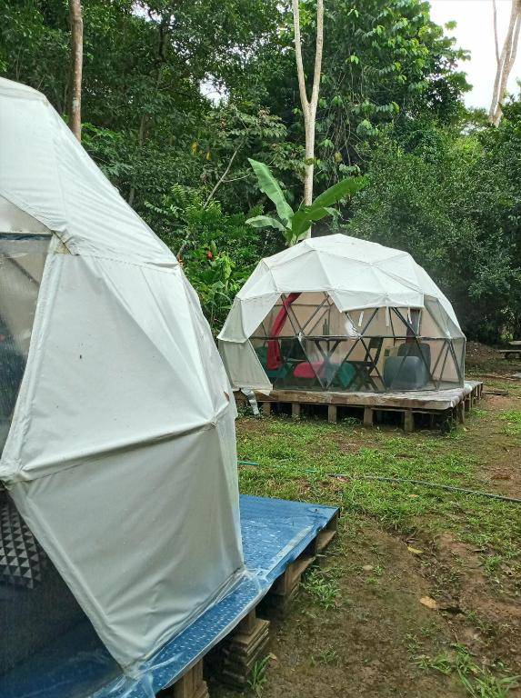 Glamping Sapzurro