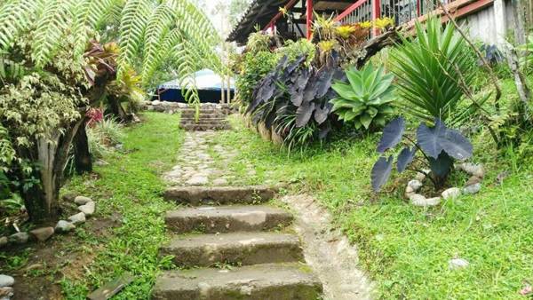 Atardecer De Salento