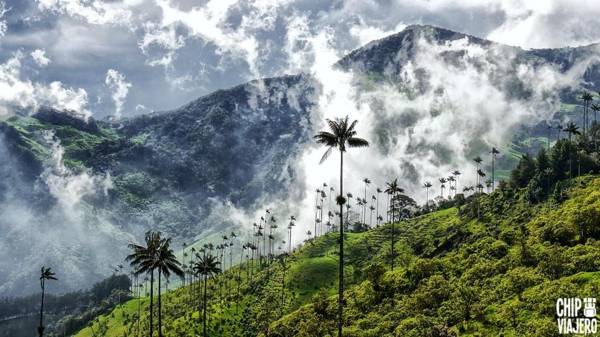 Apartahotel BETHEL 101