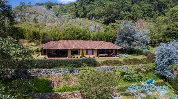 Eucaliptus Spa Resort