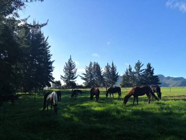 La Isabela Estancia Ecuestre