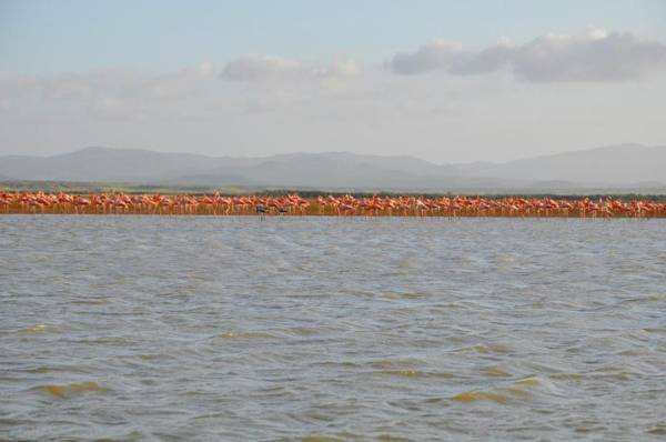 Bona Vida Hostel La Quinta