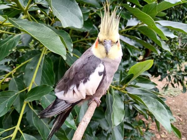 Hotel Ecoposada Viña de Aldana