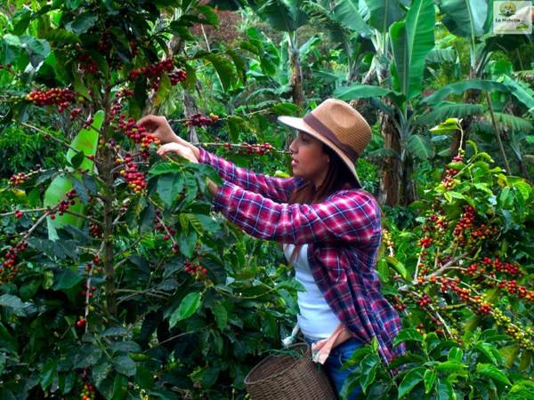 Chalet Ecoturismo La Nohelia