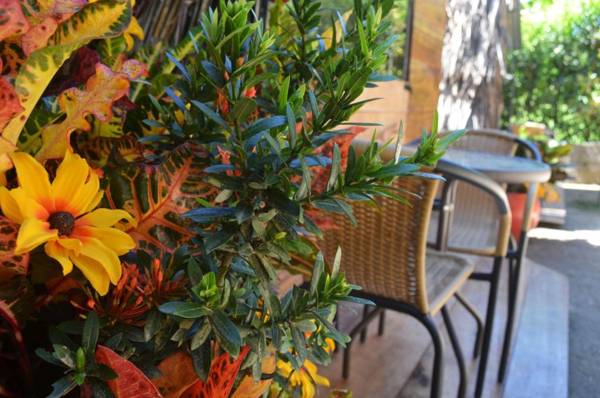 Costeño River Minca