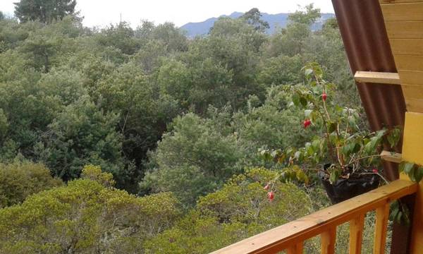 Cabaña Los Llanitos Guatavita