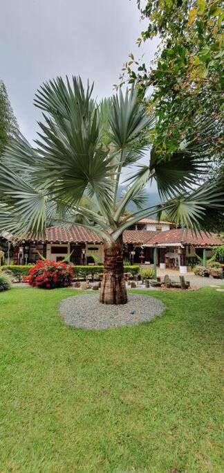 Excelente Finca Con Agroturismo Jardin Secreto