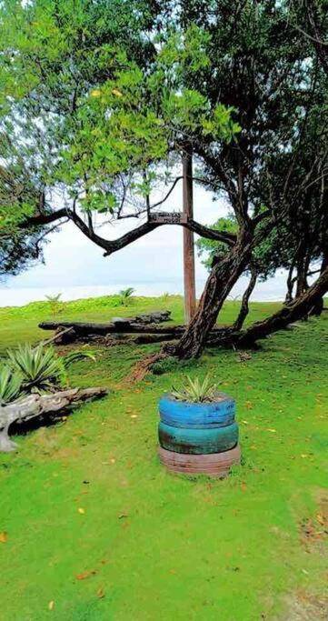 Cabaña en las playas de San Bernardo del viento