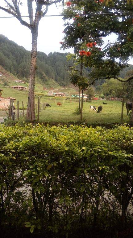 Casa Huespedes EL ENSUEÑO