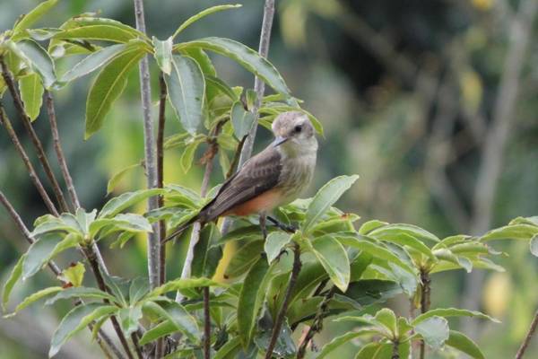 El Cielo en Tena - Biohospedaje